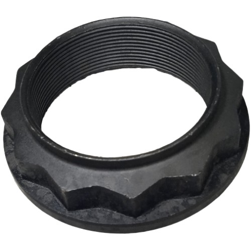 NUT GEAR 55x1.5