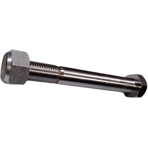 HEX BOLT 30x220