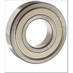 STEEL CAGE BEARING 6303 ZZ