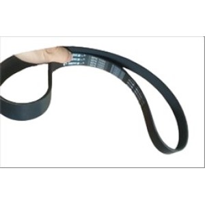 V-RIBBED BELT 8PK1050