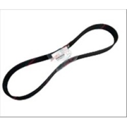 FAN BELT 8PK1155 ISUZU