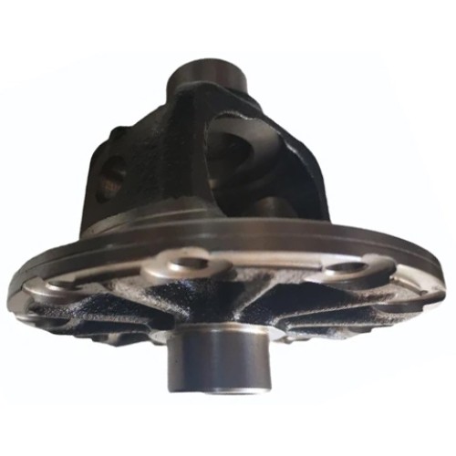 Rear Axle Differential Cage for Ashok Leyland Dost