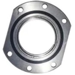 Rear Wheel Bearing Carrier (New Model) - Leyland Dost