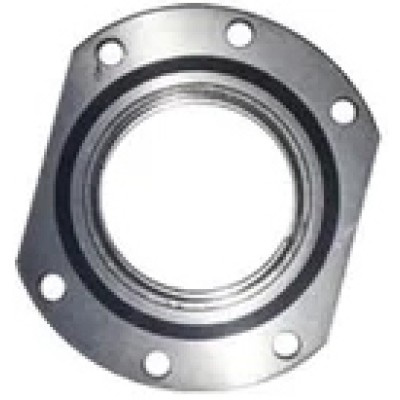 Rear Wheel Bearing Carrier (New Model) - Leyland Dost