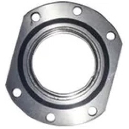 Rear Wheel Bearing Carrier (New Model) - Leyland Dost