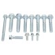 Gearbox Bolt & Spring Kit (12 Pcs) for Tata Ace